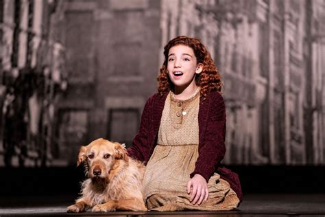 5 Things To Know About Sandy The Dog In Annie At Ppac Rhode Island 5 Things To Know About Sandy The Dog In Annie At Ppac Rhode Island