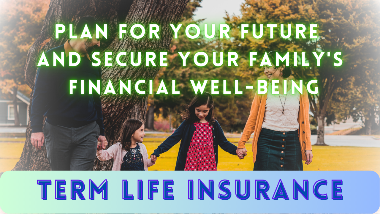A Comprehensive Guide To Term Life Insurance Catering To Diverse Needs A Comprehensive Guide To Term Life Insurance Catering To Diverse Needs