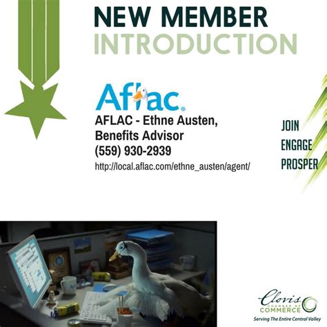 Alfec Insurance