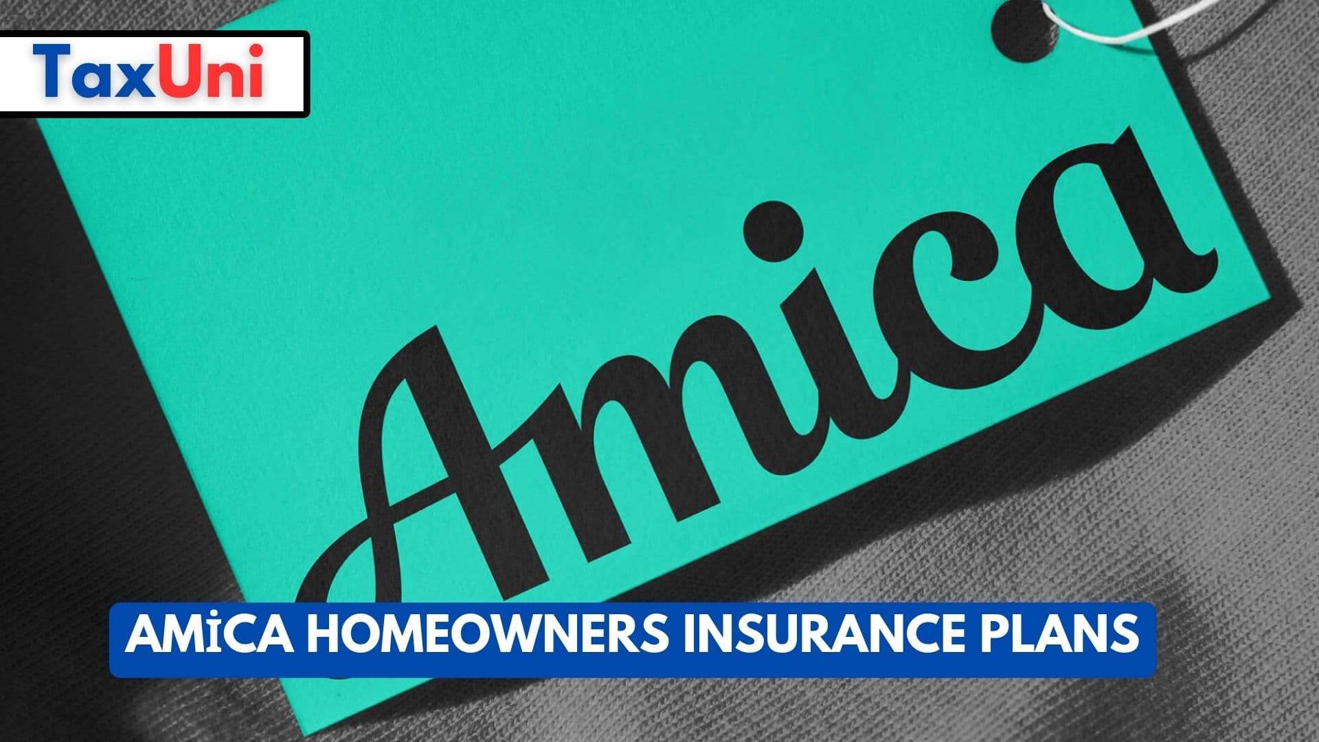 Amica Insurance