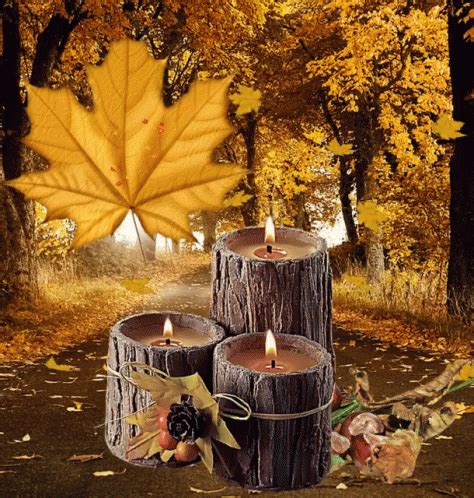 Autumn Falls Gifs