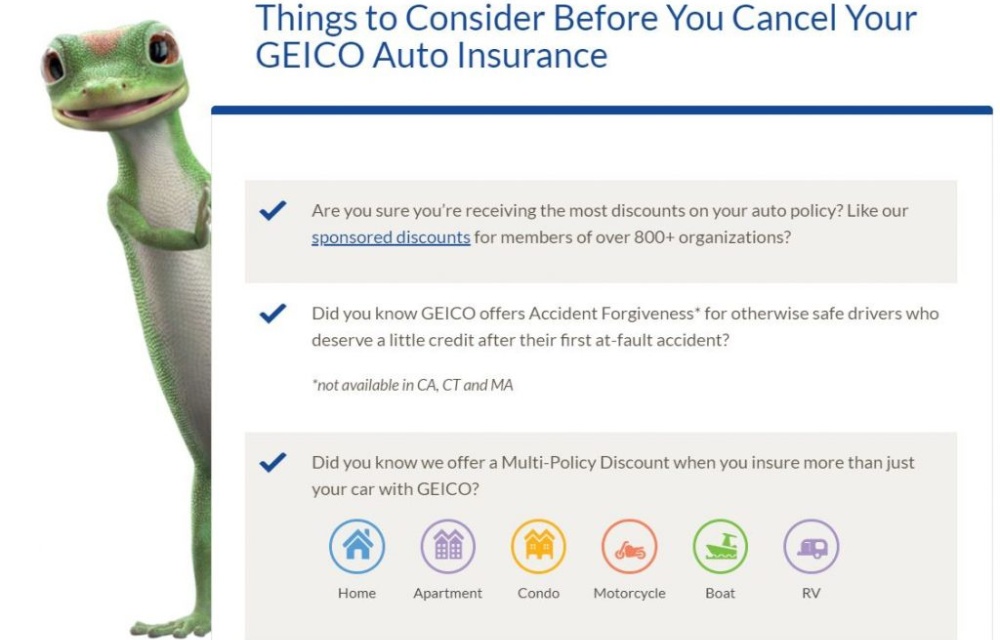 Car Insurance Geico