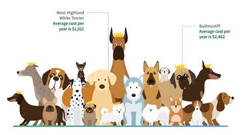 Compare Pet Insurance For Dogs