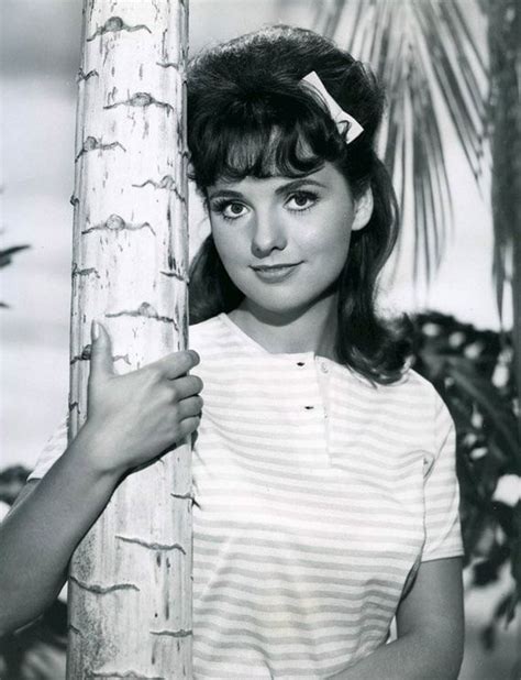 Dawn Wells Hot Photos Barnorama Dawn Wells Hot Photos Barnorama