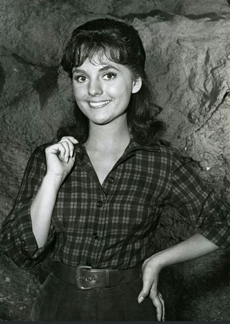 Dawn Wells Old Hollywood Stars Actresses Pretty Celebrities Dawn Wells Old Hollywood Stars Actresses Pretty Celebrities