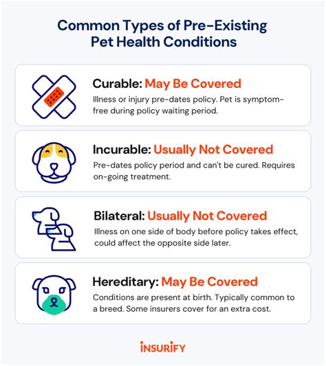 Does Any Pet Insurance Cover Pre Existing Conditions