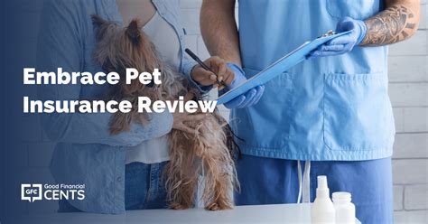 Embrace Pet Insurance Review Health Care Quotes Coverage Review Embrace Pet Insurance Review Health Care Quotes Coverage Review