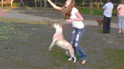 Girl Gets Attacked By Dog Youtube Girl Gets Attacked By Dog Youtube