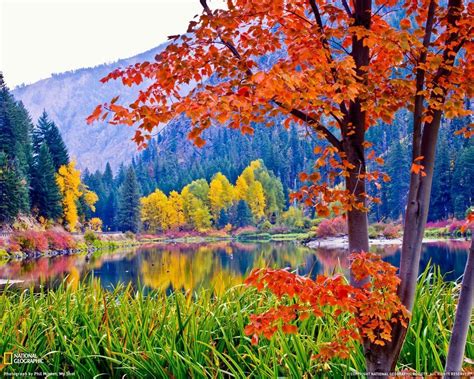 Google Images Fall Colors Google Images Fall Colors