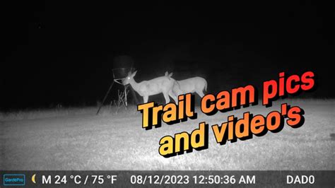 Great Footage Of 2023 Hunting Season Hunting Trailcam Deerhunting Great Footage Of 2023 Hunting Season Hunting Trailcam Deerhunting