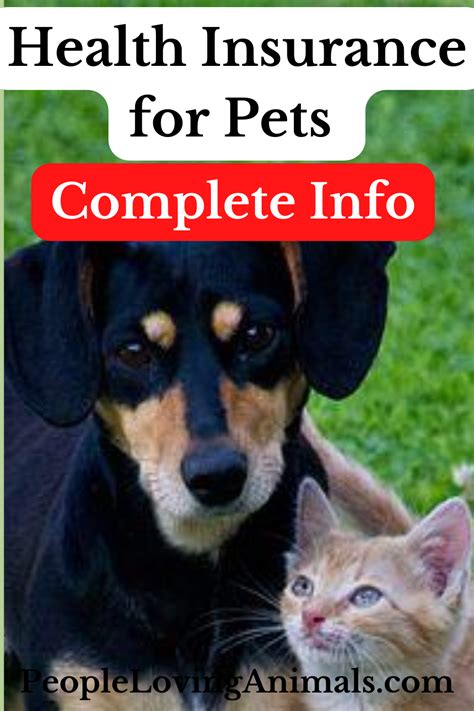 Health Insurance For Pets