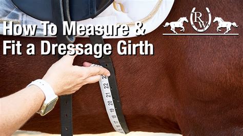 How To Take Girth Measurements Youtube How To Take Girth Measurements Youtube