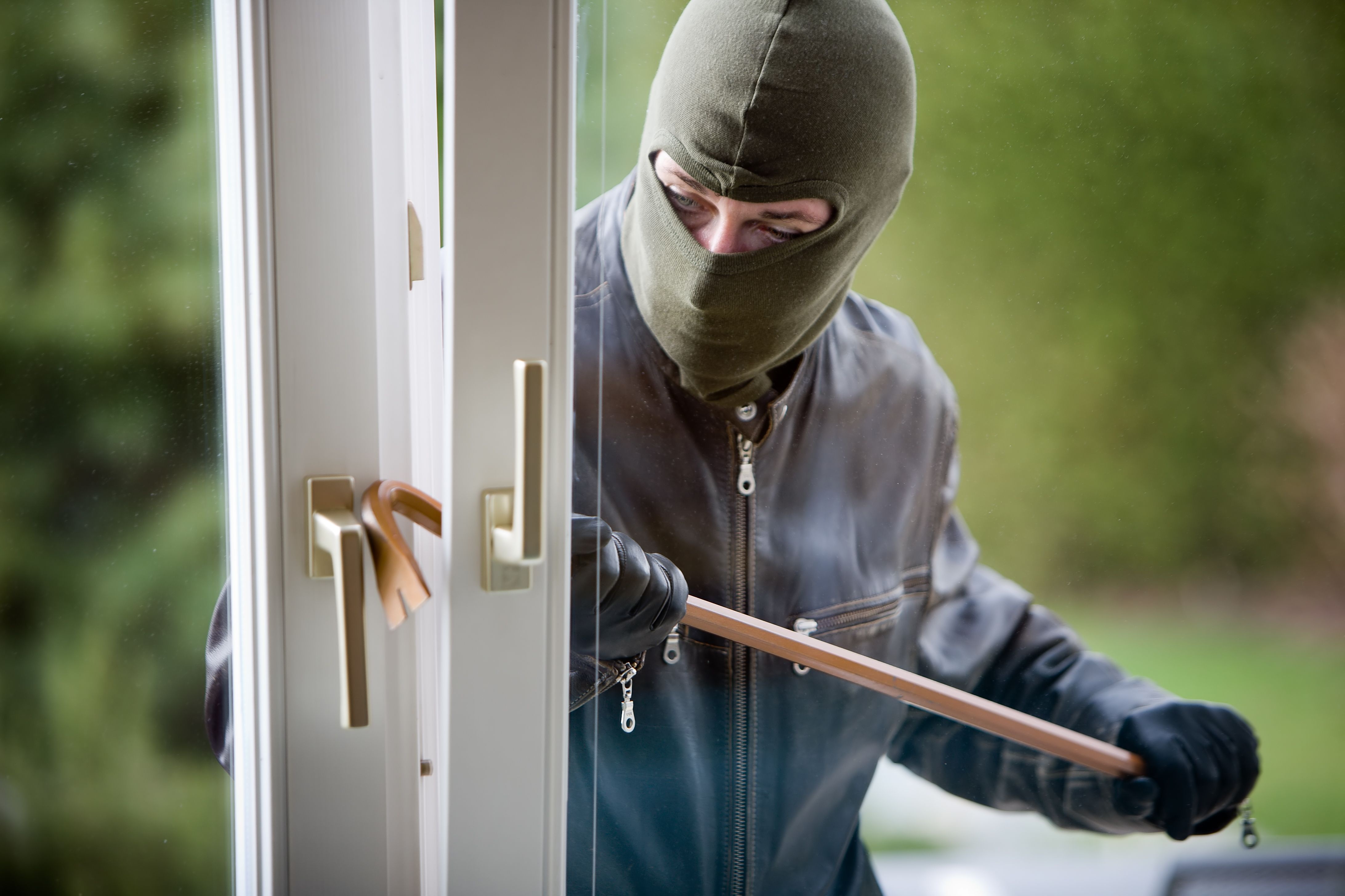 Insurance Crime