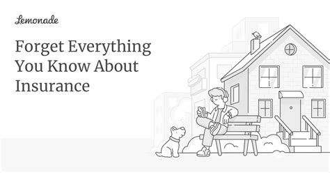 Lemonade An Insurance Company Built For The 21St Century Lemonade An Insurance Company Built For The 21St Century