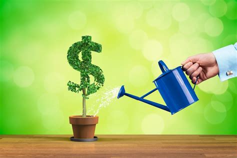 Making Your Money Work For You Through Compound Interest