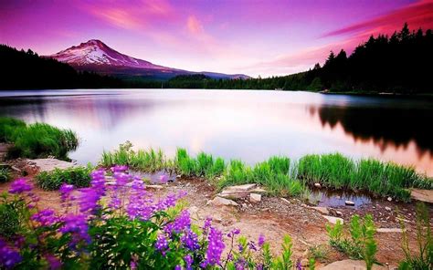 Natural Beauty