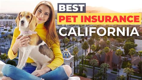 Pet Insurance California