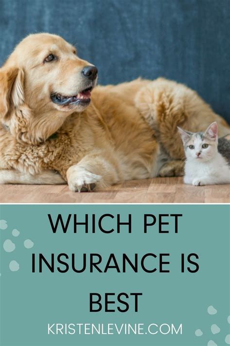 Pet Insurance Comparisons