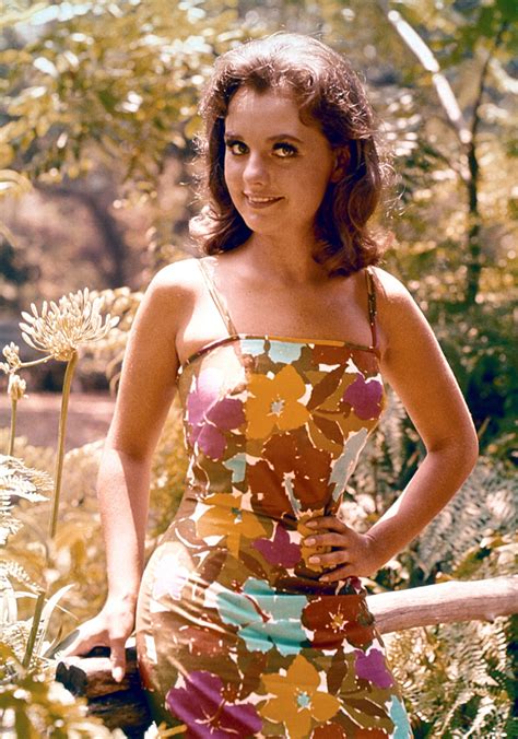 Picture Of Dawn Wells Picture Of Dawn Wells