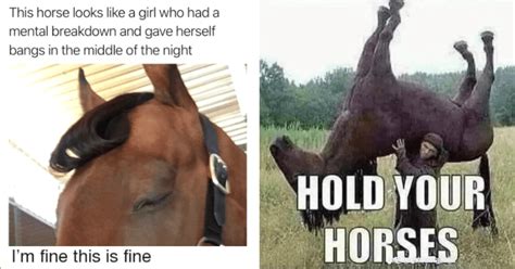 Porn With The Horse