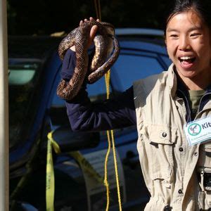 Slimey Or Scaley Presented By Sciensational Sssnakes At Dalewood Slimey Or Scaley Presented By Sciensational Sssnakes At Dalewood